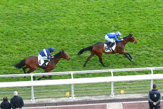 Photo d'arrivée de la course pmu PRIX WILD MONARCH (POULAINS) à AUTEUIL le Mardi 18 avril 2023