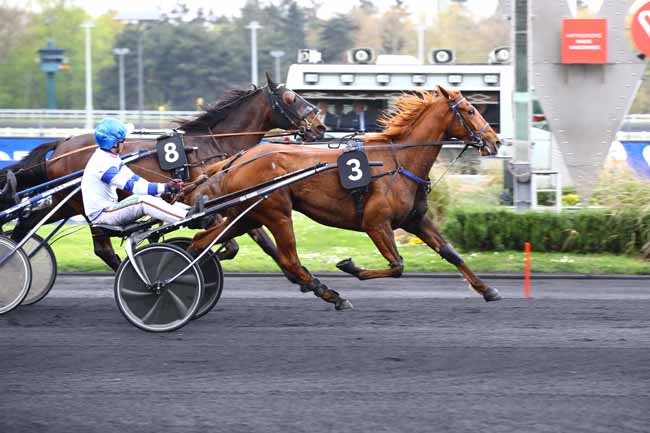 Photo d'arrivée de la course pmu PRIX ATHOR à PARIS-VINCENNES le Mardi 18 avril 2023