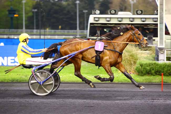 Photo d'arrivée de la course pmu PRIX BAMBERGA à PARIS-VINCENNES le Mardi 18 avril 2023