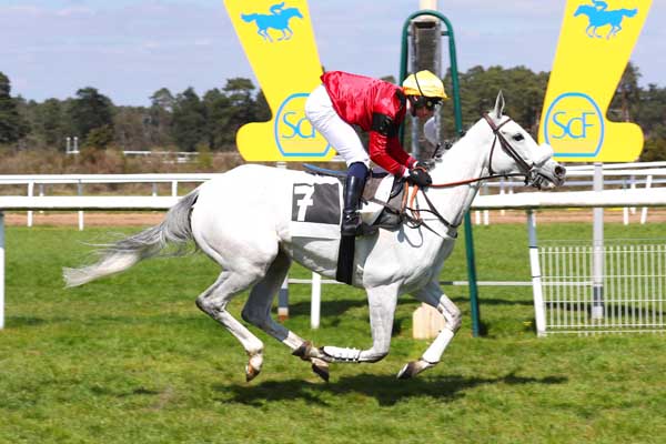 Photo d'arrivée de la course pmu PRIX DE LA MARE A PIAT à FONTAINEBLEAU le Mercredi 19 avril 2023