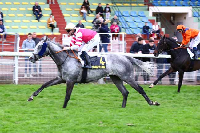 Photo d'arrivée de la course pmu PRIX DES FRONDAISONS à COMPIEGNE le Mercredi 19 avril 2023