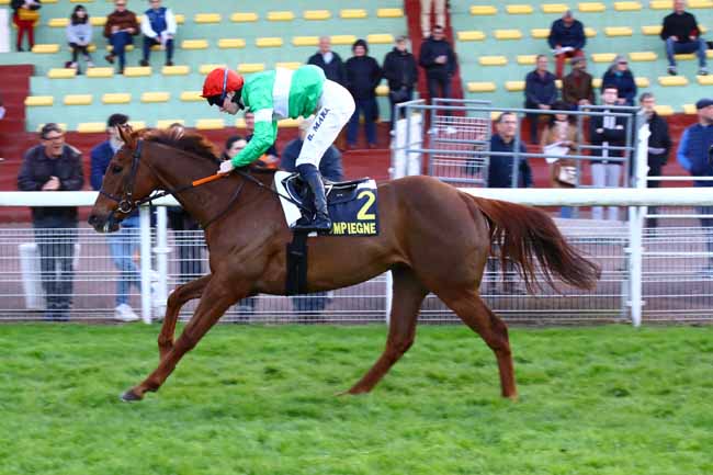 Photo d'arrivée de la course pmu PRIX SAINT-LEGER AUX BOIS à COMPIEGNE le Mercredi 19 avril 2023