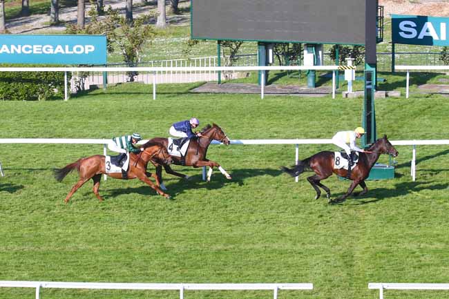 Photo d'arrivée de la course pmu PRIX DU CHATEAU PELICAN à SAINT CLOUD le Vendredi 21 avril 2023