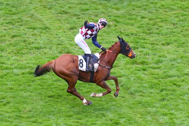 Photo d'arrivée de la course pmu PRIX KARCIMONT à AUTEUIL le Dimanche 23 avril 2023