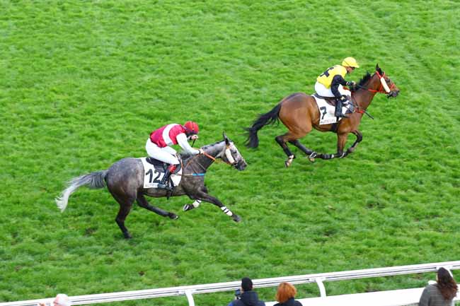 Photo d'arrivée de la course pmu PRIX LE RHEUSOIS à AUTEUIL le Samedi 29 avril 2023