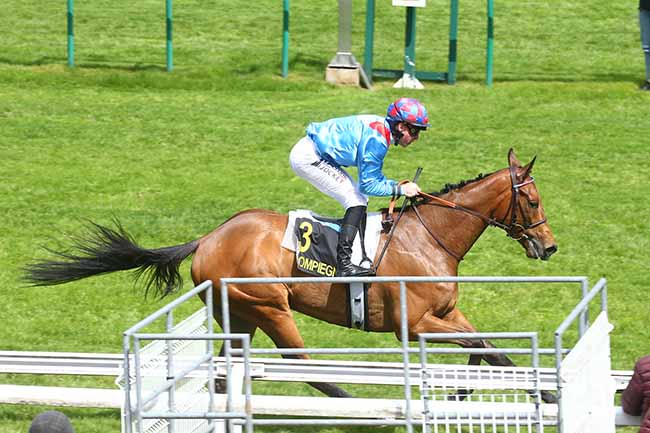 Photo d'arrivée de la course pmu PRIX DE L'AMIENOIS à COMPIEGNE le Mardi 2 mai 2023