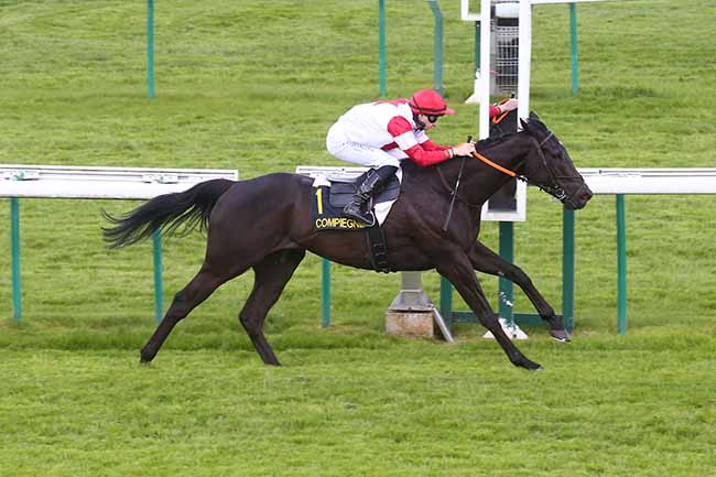 Photo d'arrivée de la course pmu PRIX DE MORIENVAL à COMPIEGNE le Mardi 2 mai 2023