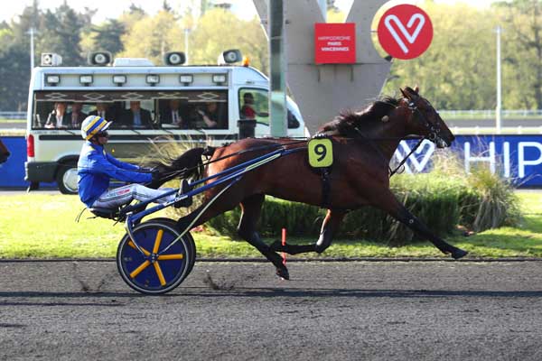 Photo d'arrivée de la course pmu PRIX LIBUSSA à PARIS-VINCENNES le Mardi 2 mai 2023