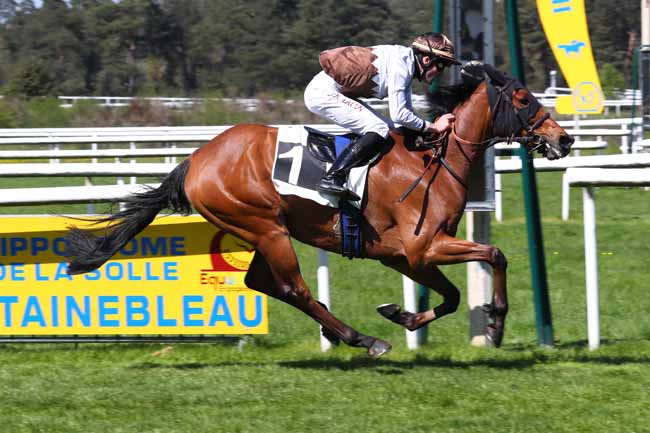 Photo d'arrivée de la course pmu PRIX DES CHENES à FONTAINEBLEAU le Mercredi 3 mai 2023