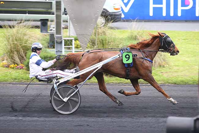 Photo d'arrivée de la course pmu PRIX DE MARCQ-EN-BAROEUL à PARIS-VINCENNES le Samedi 6 mai 2023