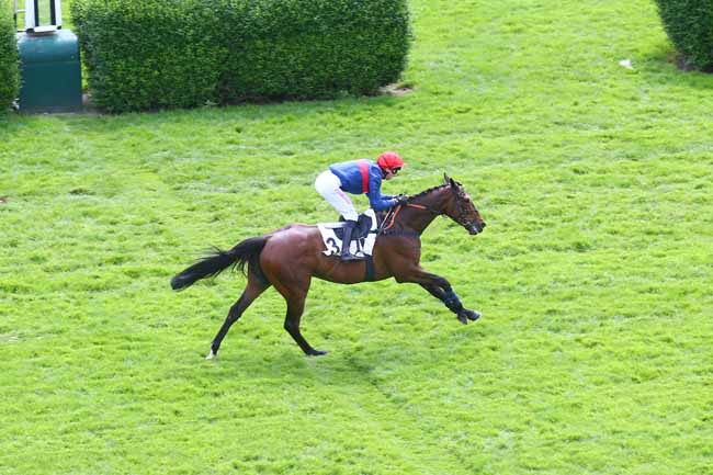 Photo d'arrivée de la course pmu PRIX LA VEINE à AUTEUIL le Samedi 6 mai 2023