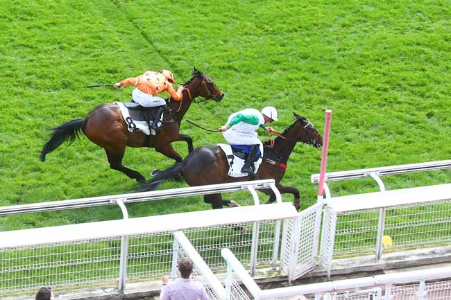 Photo d'arrivée de la course pmu PRIX DE LA VANOISE à AUTEUIL le Samedi 6 mai 2023