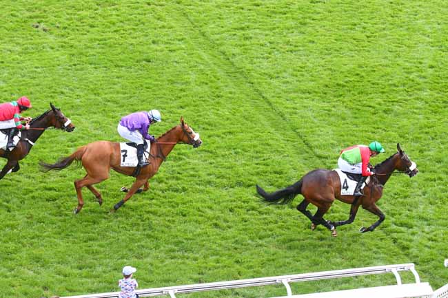 Photo d'arrivée de la course pmu PRIX VANILLE à AUTEUIL le Samedi 6 mai 2023