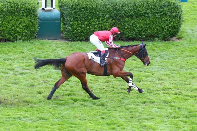 Photo d'arrivée de la course pmu PRIX ANDREA à AUTEUIL le Samedi 6 mai 2023