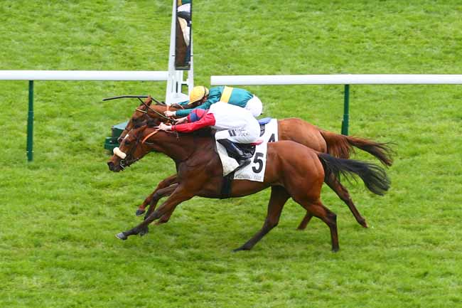 Photo d'arrivée de la course pmu PRIX DE LA SEINE à LONGCHAMP le Dimanche 7 mai 2023