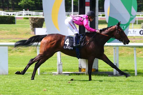 Photo d'arrivée de la course pmu PRIX DE L'ASSOCIATION DES PROPRIETAIRES DU CENTRE-EST à LYON PARILLY le Lundi 8 mai 2023