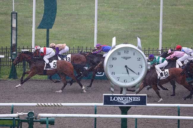 Photo d'arrivée de la course pmu PRIX DE BARBERY à CHANTILLY le Mardi 9 mai 2023