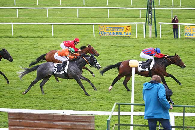Photo d'arrivée de la course pmu PRIX DE L'AQUEDUC à FONTAINEBLEAU le Mercredi 10 mai 2023