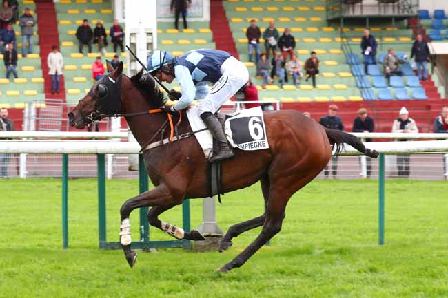 Photo d'arrivée de la course pmu PRIX ROMATI à COMPIEGNE le Mercredi 10 mai 2023