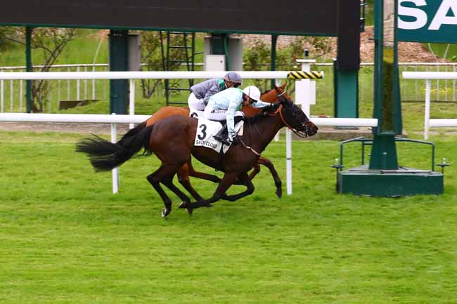 Photo d'arrivée de la course pmu PRIX LA TROIENNE à SAINT CLOUD le Vendredi 12 mai 2023