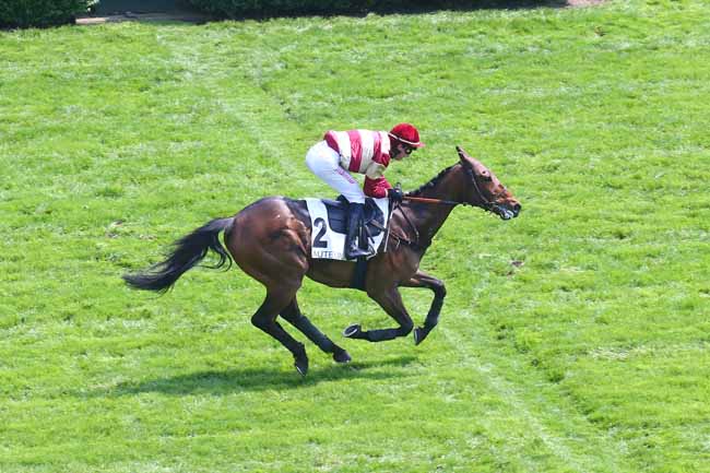 Photo d'arrivée de la course pmu PRIX GUILLAUME JAVOY à AUTEUIL le Samedi 13 mai 2023