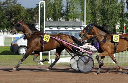 Photo d'arrivée de la course pmu PRIX DE MARCENAT à VICHY le Lundi 15 mai 2023