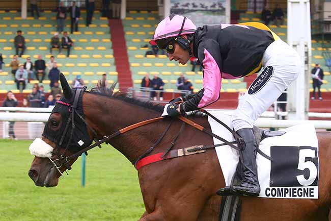 Photo d'arrivée de la course pmu PRIX GACKO à COMPIEGNE le Lundi 15 mai 2023