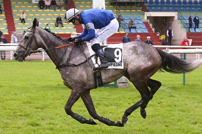 Photo d'arrivée de la course pmu PRIX DU CHER à COMPIEGNE le Lundi 15 mai 2023