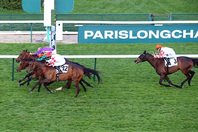 Photo d'arrivée de la course pmu PRIX DU BOIS DU RUSSE à LONGCHAMP le Jeudi 18 mai 2023