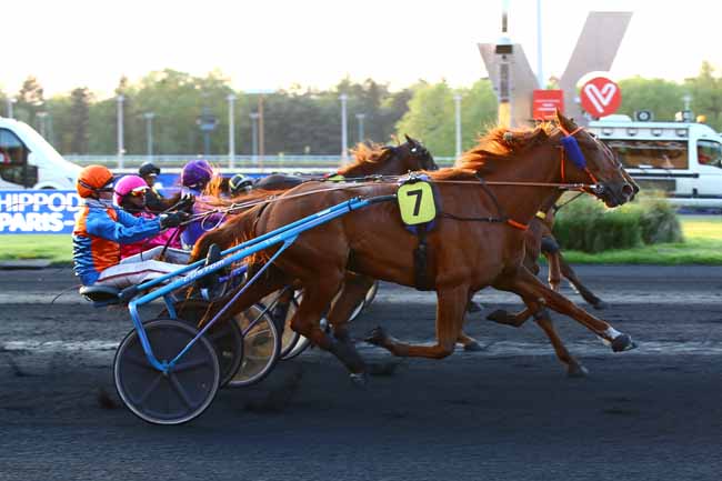 Photo d'arrivée de la course pmu PRIX ARA à PARIS-VINCENNES le Vendredi 19 mai 2023