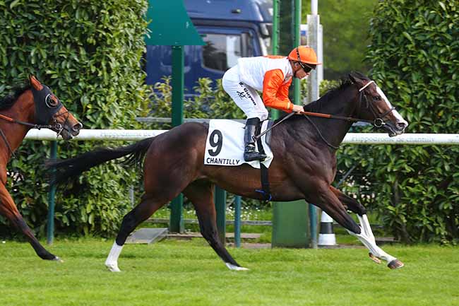 Photo d'arrivée de la course pmu PRIX DE LA ROUTE DES POSTES à CHANTILLY le Vendredi 19 mai 2023