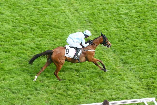 Photo d'arrivée de la course pmu PRIX ALAIN DU BREIL - COURSE DE HAIES DE PRINTEMPS DES 4 ANS à AUTEUIL le Dimanche 21 mai 2023