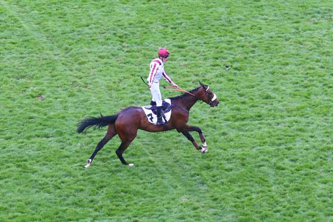 Photo d'arrivée de la course pmu PRIX CARMONT à AUTEUIL le Dimanche 21 mai 2023
