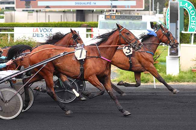 Photo d'arrivée de la course pmu 5EME ETAPE DU GRAND NATIONAL DES AMATEURS à LE CROISE-LAROCHE le Mercredi 24 mai 2023