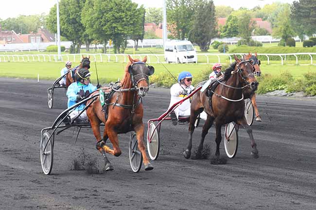 Photo d'arrivée de la course pmu PRIX V AND B LILLE à LE CROISE-LAROCHE le Mercredi 24 mai 2023