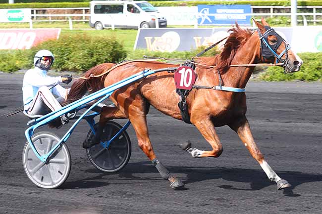 Photo d'arrivée de la course pmu PRIX DE LA FEDERATION DU NORD à LE CROISE-LAROCHE le Mercredi 24 mai 2023
