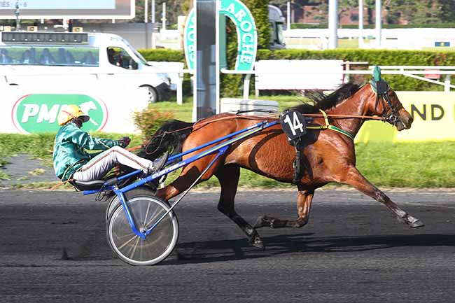 Photo d'arrivée de la course pmu PRIX ZETURF à LE CROISE-LAROCHE le Mercredi 24 mai 2023