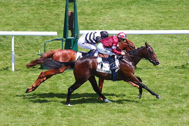 Photo d'arrivée de la course pmu PRIX PIRETTE à SAINT CLOUD le Dimanche 28 mai 2023