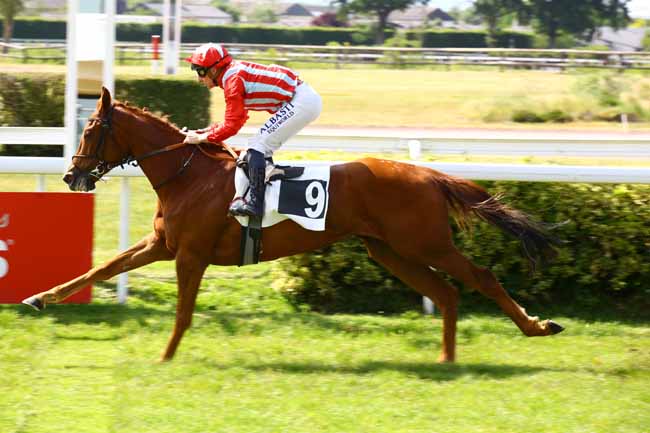 Photo d'arrivée de la course pmu PRIX FRANCIS CHENE - ASSELCO à ANGERS le Mardi 30 mai 2023