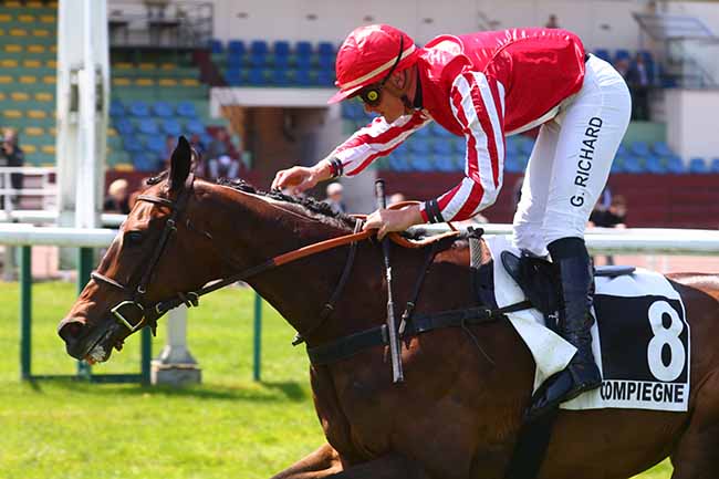 Photo d'arrivée de la course pmu PRIX MELINOIR à COMPIEGNE le Mardi 30 mai 2023