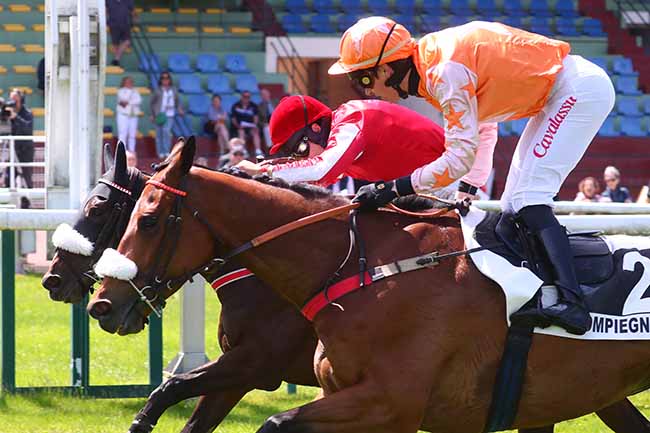 Photo d'arrivée de la course pmu PRIX COLLINS à COMPIEGNE le Mardi 30 mai 2023