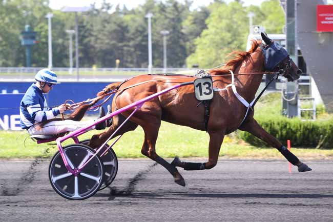 Photo d'arrivée de la course pmu PRIX JOHANNA à PARIS-VINCENNES le Mardi 30 mai 2023