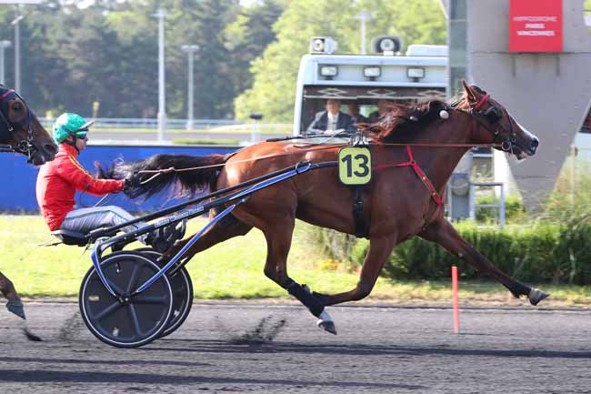 Photo d'arrivée de la course pmu PRIX OZO à PARIS-VINCENNES le Mardi 30 mai 2023