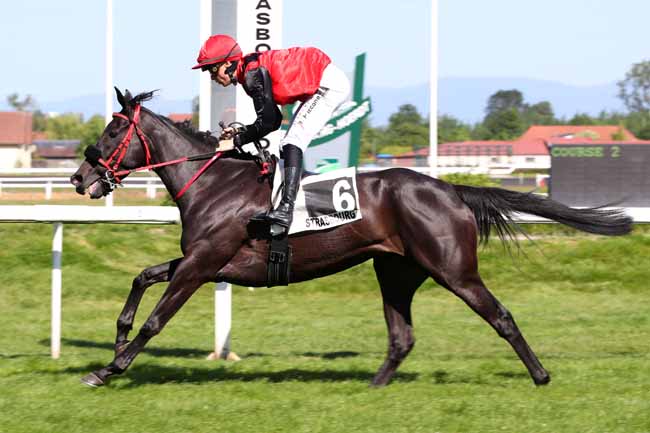 Photo d'arrivée de la course pmu PRIX DE LA VALSE à STRASBOURG le Mercredi 31 mai 2023