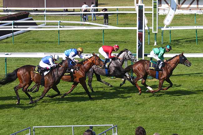 Photo d'arrivée de la course pmu PRIX DE MARGNY-SUR-MATZ à COMPIEGNE le Vendredi 2 juin 2023