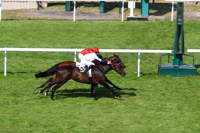 Photo d'arrivée de la course pmu PRIX TRIPTYCH à SAINT CLOUD le Mardi 6 juin 2023