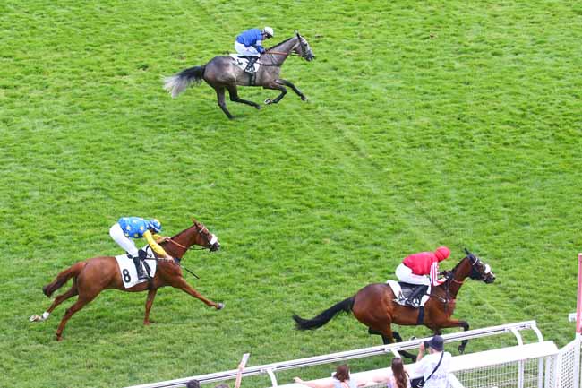 Photo d'arrivée de la course pmu PRIX LA BARKA à AUTEUIL le Samedi 10 juin 2023