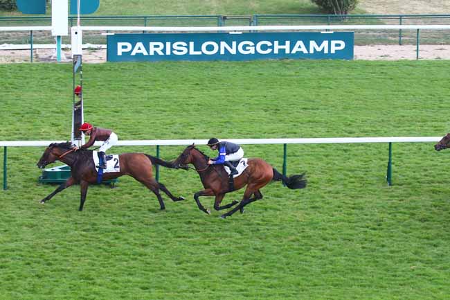 Photo d'arrivée de la course pmu PRIX PAUL DE MOUSSAC à LONGCHAMP le Dimanche 11 juin 2023