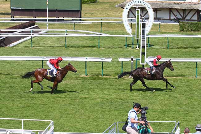 Photo d'arrivée de la course pmu PRIX DE L'AILETTE à COMPIEGNE le Mardi 13 juin 2023