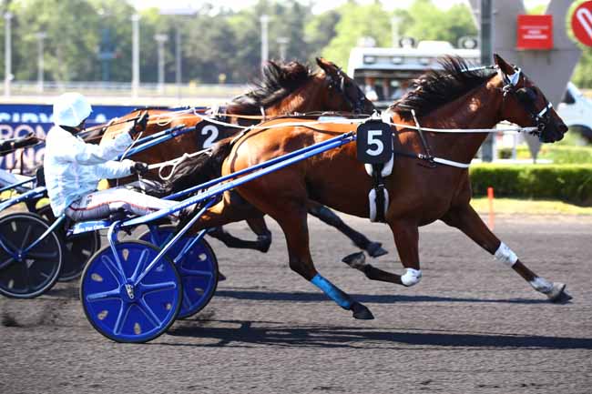 Photo d'arrivée de la course pmu PRIX SIBYLLA à PARIS-VINCENNES le Mardi 13 juin 2023